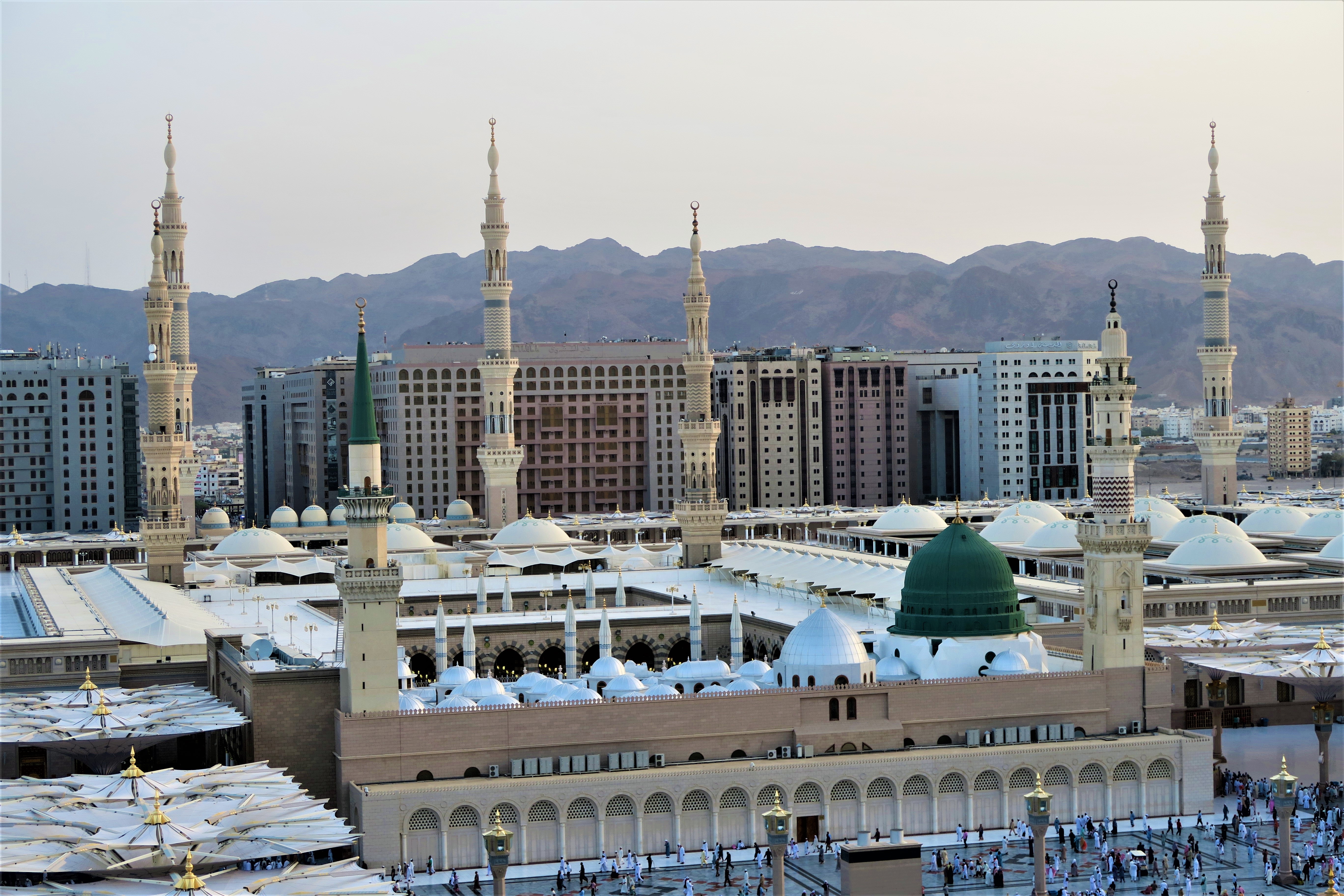 Travel and Tours